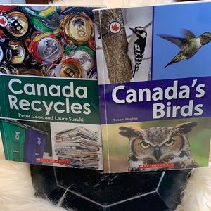 ☄️2/$15☄️Nonfiction large print books